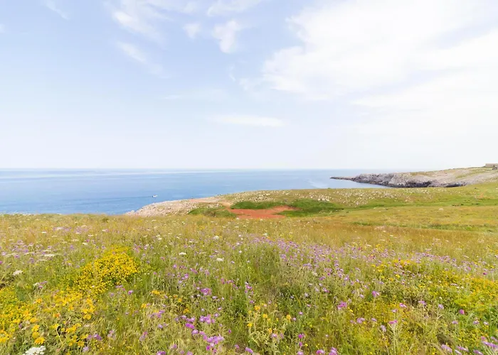 شقة Deliziosa Casa Barbara In Centro *