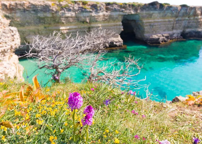 شقة Deliziosa Casa Barbara In Centro
